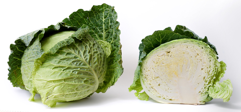 Sayuran Cabbage